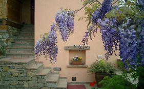 Il Glicine